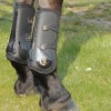 Protège-tendons cheval Elastic - Kentucky Horsewear