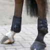 Protège-boulets cheval Elastic - Kentucky Horsewear