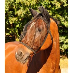 Concentré d'harpagophytum Harpagophyt - Paskacheval - PASKACHEVAL -  Locomotion cheval - Equestra