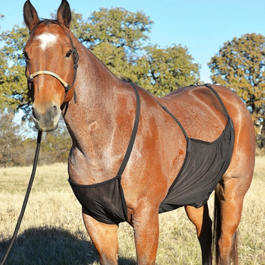 Protection ventrale anti-mouches cheval Belly Guard Cashel
