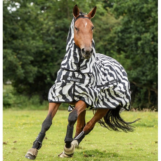 Chemise anti-dermite cheval Sweet Itch Zebra Bucas