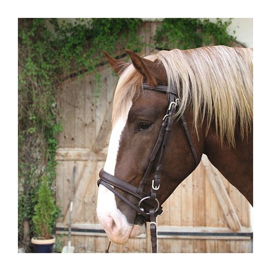 Bridon muserolle combinée cheval de trait