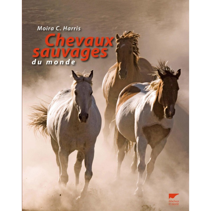 Chevaux sauvages du monde - Equestra