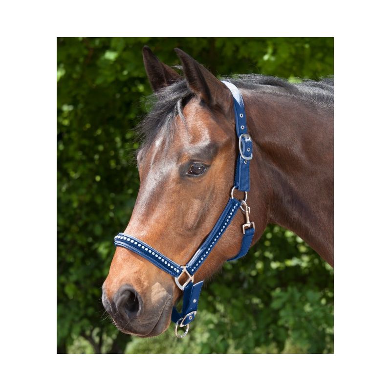Licol cheval simili-cuir nylon tressé - Kentucky Horsewear - KENTUCKY