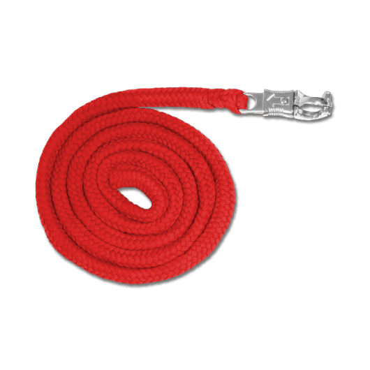 Longe nylon mousqueton anti-panique 2 m Economic Waldhausen
