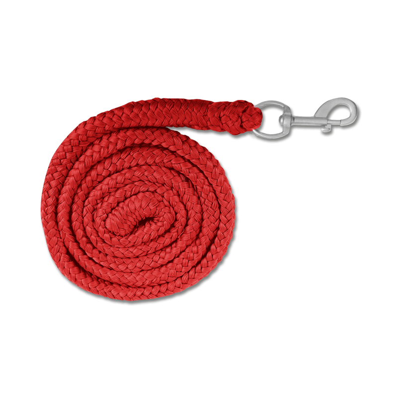 Longe nylon 2 m Economic Waldhausen