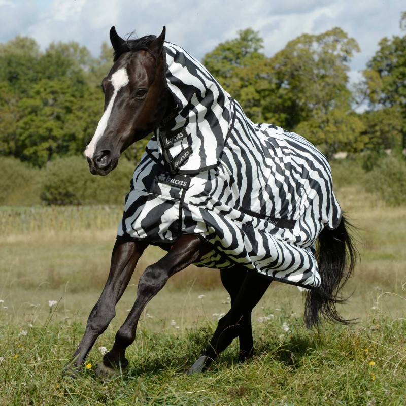 Chemise anti-dermite cheval Sweet Itch Zebra Bucas