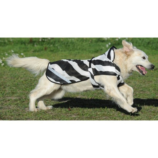 Couverture chien Zebra Bucas