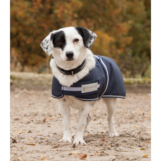 couverture manteau chien