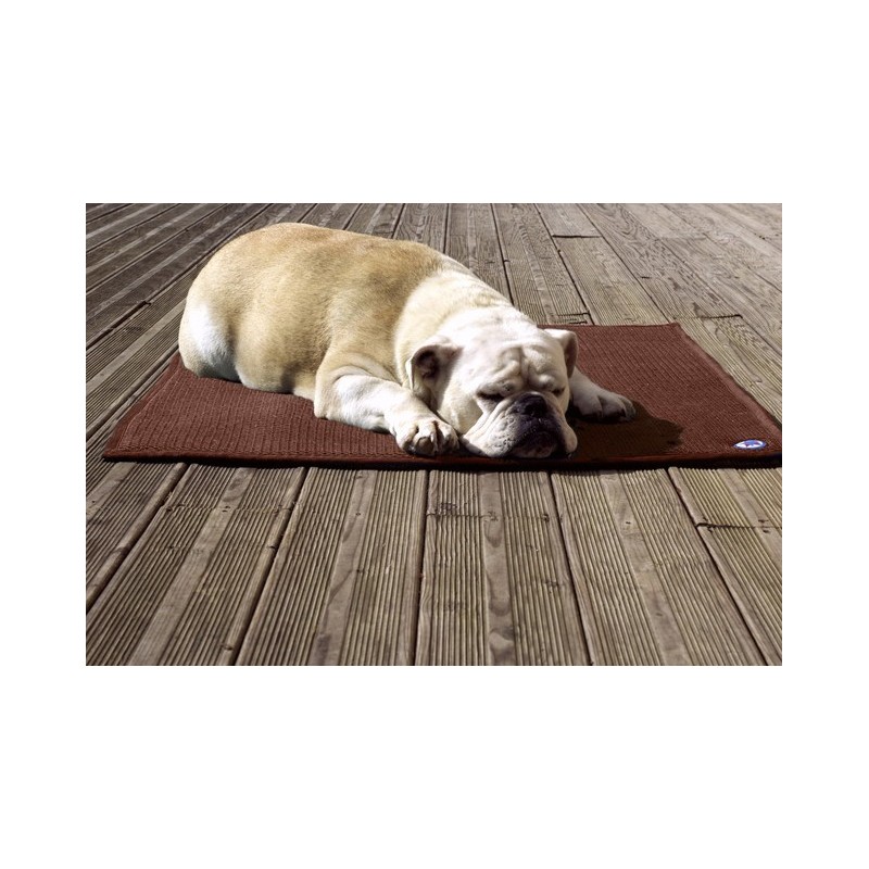 Tapis thérapeutique chat chien Sleepy dog