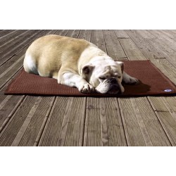 Tapis thérapeutique chat chien Sleepy dog