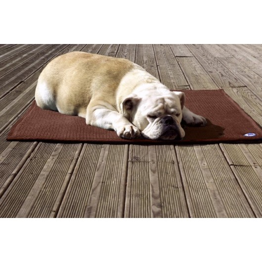 Tapis thérapeutique chat chien Sleepy dog Tapis thérapeutique chat chien Sleepy dog