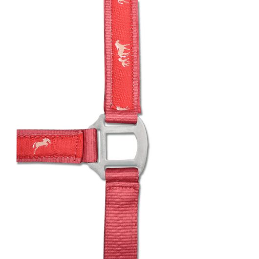 Licol nylon doublé Petits chevaux Waldhausen