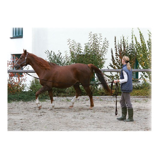 Longe à tourner polypropylène 7,5 m Equestra