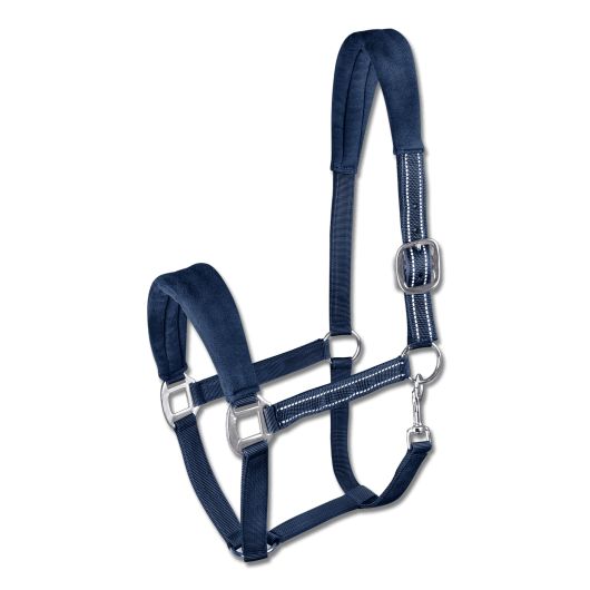 Licol nylon matelassé Alcantara Waldhausen