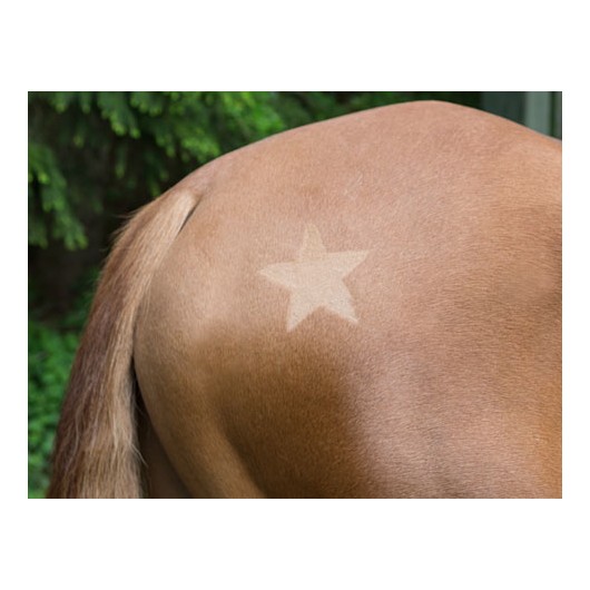 Pochoirs de tonte chevaux divers motifs Equestra