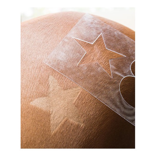 Pochoirs de tonte chevaux divers motifs Equestra