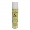 Assainissant nettoyant casques équitation 250 ml Sapo