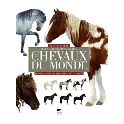 Tous les chevaux du monde Elise Rousseau, illustrations Yann Le Bris Editions Delachaux et Niestlé