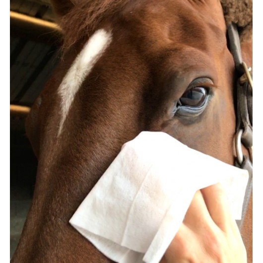 Soins zones sensibles en lingettes x 25 Easy Shine Wipe Ravene