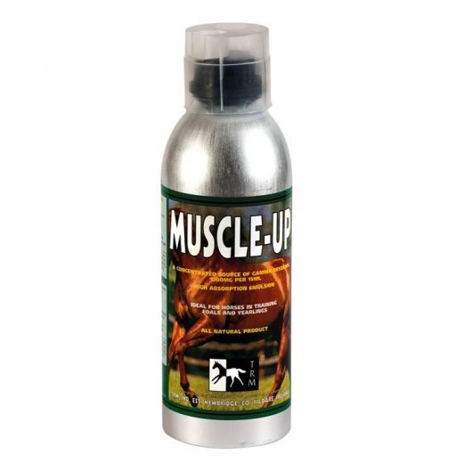 Body Builder naturel chevaux 1 L Muscle Up TRM