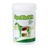 Flore intestinale chevaux 900 g Synbiovit TRM