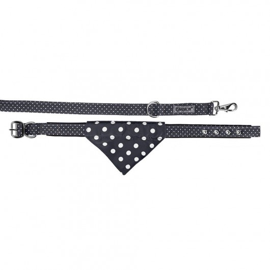 Collier et laisse chien tissu Nici Eskadron