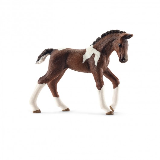 Figurine Poulain Trakehner