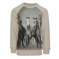 Sweat coton Enfant chevaux Horseware