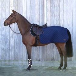 Stick cravache de dressage - Waldhausen - Fière Allure Equitation