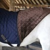 Chemise de marcheur cheval 160 g Kentucky