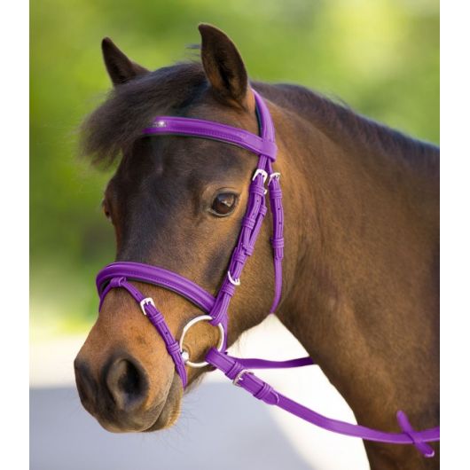 Bridon synthétique muserolle combinée poney Unicorn 2 Waldhausen Bridon synthétique muserolle combinée poney Unicorn 2 Waldhausen