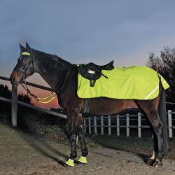 Electrificateur sur batterie clôture cheval AN20 6V - Speedrite