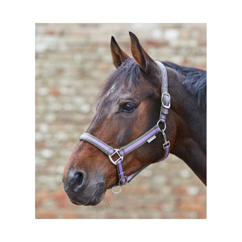 Licol Nylon Imitation Vison Equipride Avec Laisse Assortie | Noir Mini Shetland | Doux Et Réglable Pour Poney