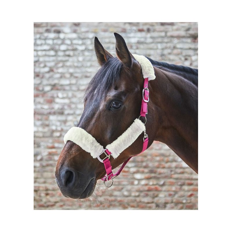 Licol Pour Cheval En Nylon – Design Moderne – Neuf Sous Emballage