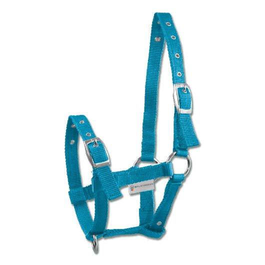 Licol nylon poulain Triple Waldhausen Licol nylon poulain Triple Waldhausen