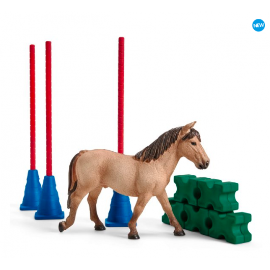 Kit de jeux Slalom pour Poney