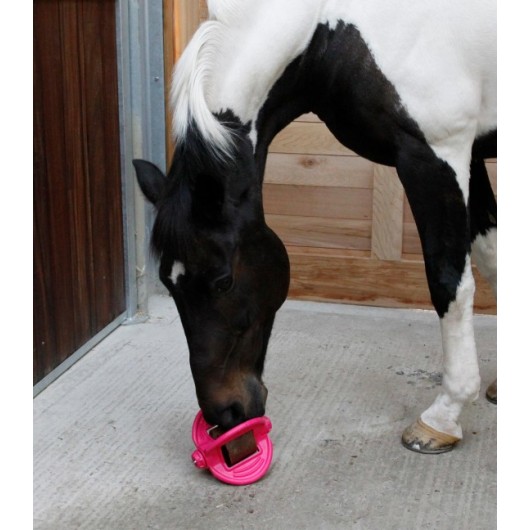 Support ludique pierre à lécher Bizzy Ball Waldhausen