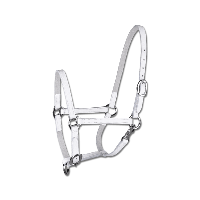 Licol Cheval Start Licol D'équitation Pour Poulain Triple Réglable (Foal, Noir Licol Cheval Poney