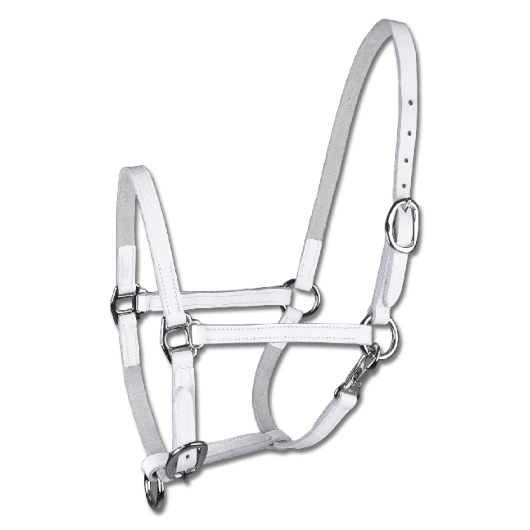 Licol de présentation cuir Waldhausen