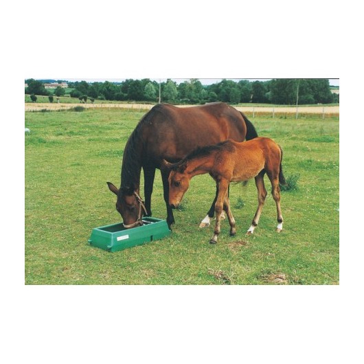 Mangeoire de prairie sélective linéaire jument poulain La Gée