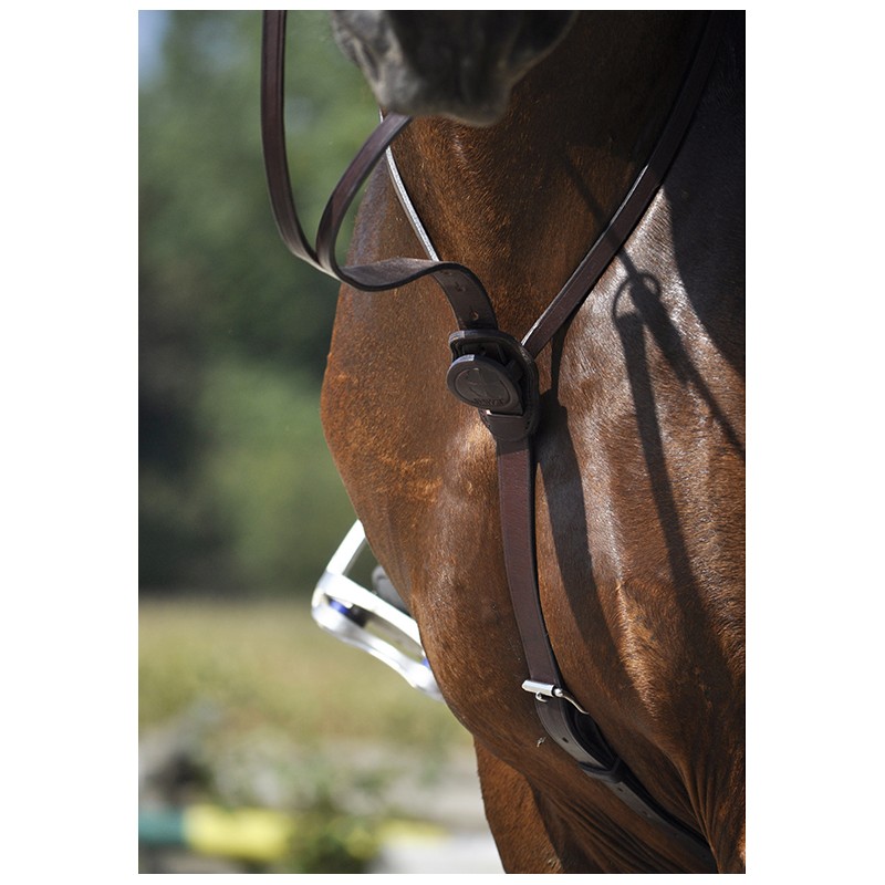 Martingale cuir C-Cure IHWT