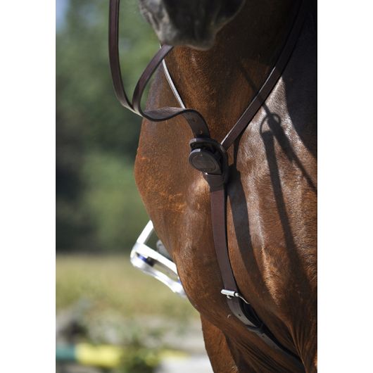 Martingale cuir C-Cure IHWT Martingale cuir C-Cure IHWT