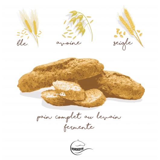 Horsedyn Probiotique Bio 10L