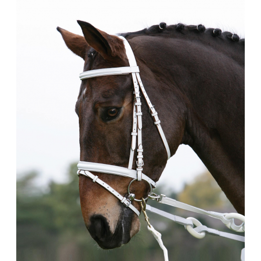 Bridon sans mors cheval Bridon sans mors cheval