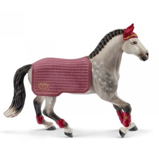 Jument Trakehnen - concours équestre Jument Trakehnen - concours équestre