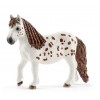 MIA ET SPOTTY  PETITE SOEUR D'HANNAH ET SON PONEY SCHLEICH