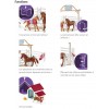 CHEVAUX INVITES D'HANNAH AVEC CHIENNE RUBY SCHLEICH