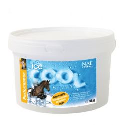 ICE COOL -ARGILE REFROIDISSANTE-NAF