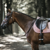 Tapis chabraque cheval Velvet - Kentucky - Equestra